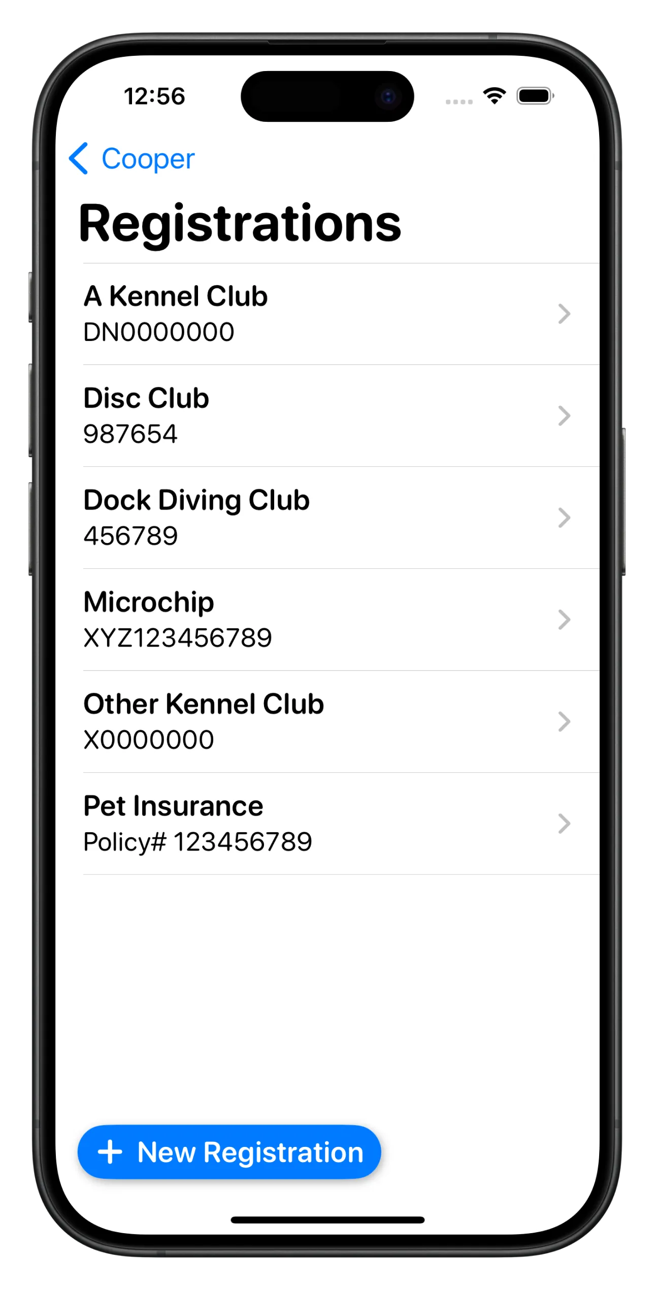 An iPhone showing a list of registrations in the Ruff Title app.