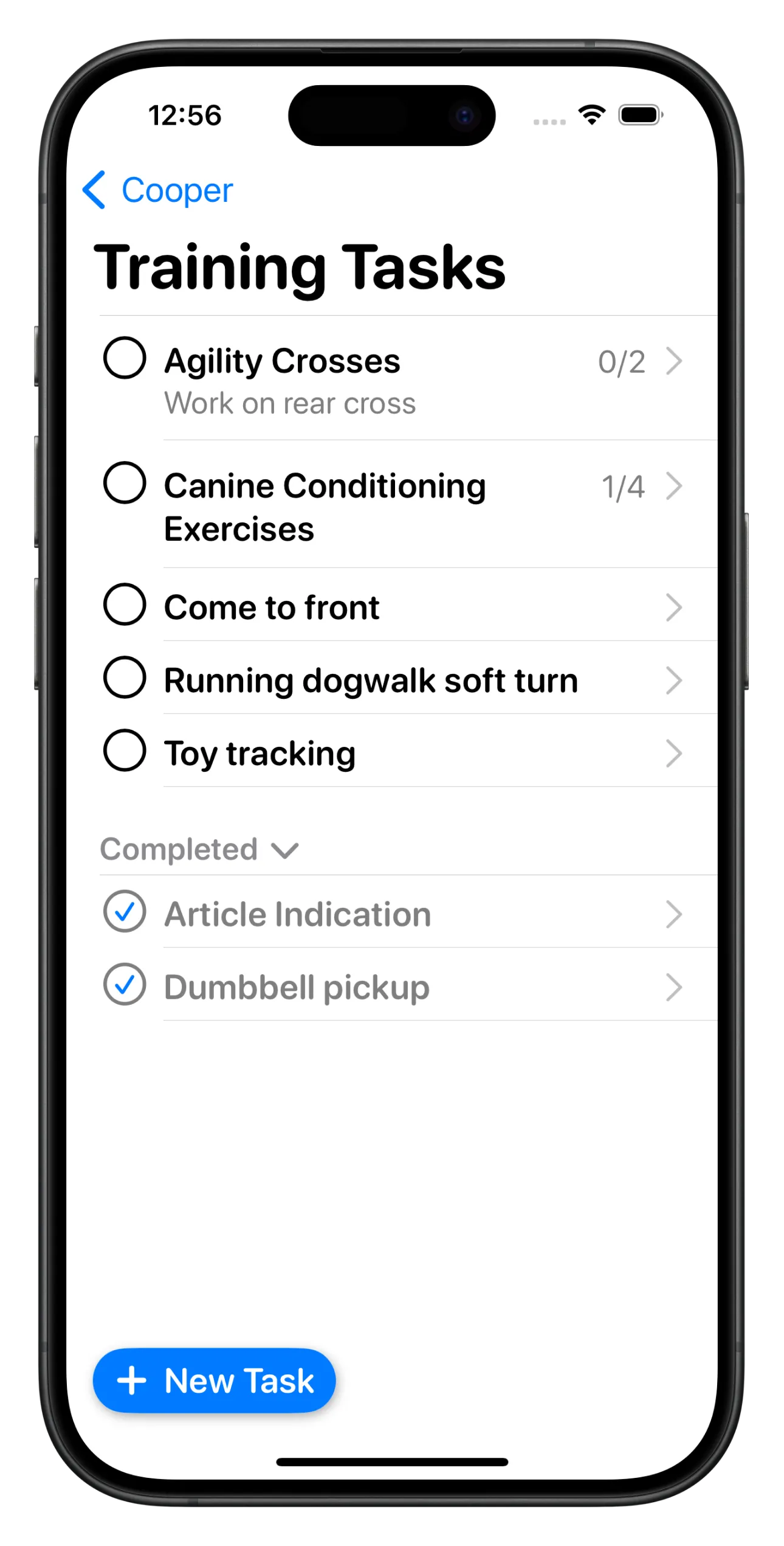 An iPhone showing a list of training tasks in the Ruff Title app.